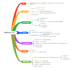 缺铁性贫血（IDA）