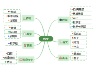 作业图谱