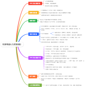 和美电器人力资源规划