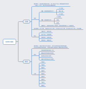 中医学经络与体质思维导图