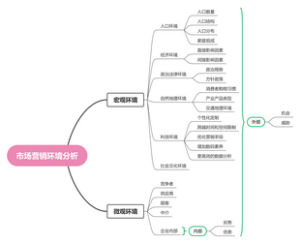 市场营销环境分析