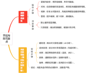 实验与探究重点