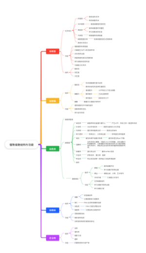 植物细胞结构与功能