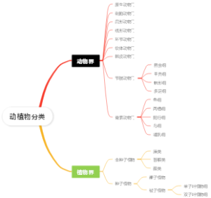 动植物分类