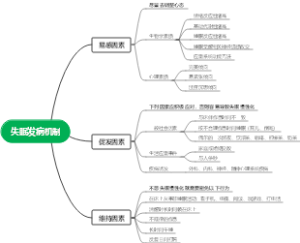 失眠发病机制