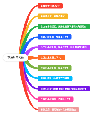 下肢常用穴位