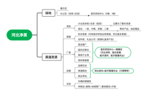 河北净菜项目 思维导图
