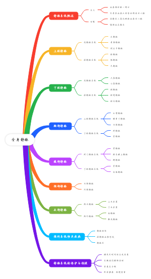 全身静脉思维导图
