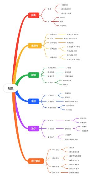 蛔虫