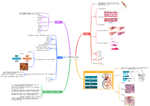 局部血液循环障碍