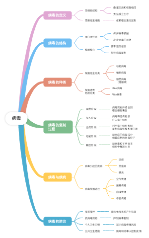 病毒