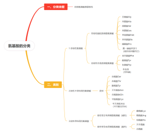 氨基酸的分类