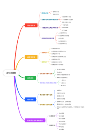 再生与修复