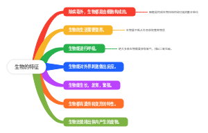 生物的特征