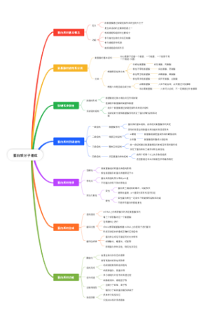 蛋白质分子组成