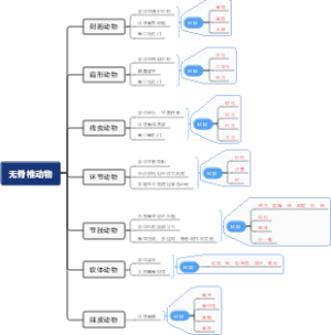 无脊椎动物