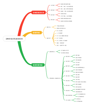 动物的组织和器官系统