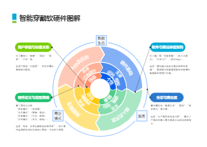 智能穿戴软硬件圆形图图解