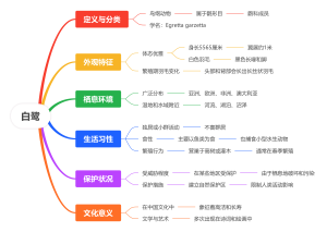 白鹭