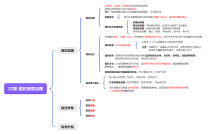 信息系统项目管理师22章组织通用治理