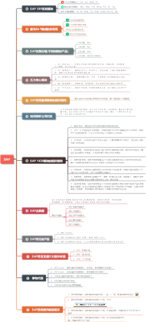 SAP介绍