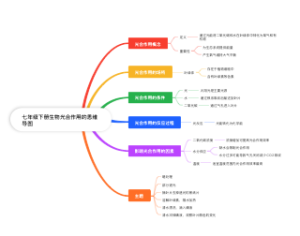 七年级下册生物光合作用思维导图