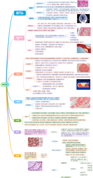 病理诊断