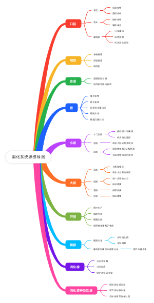 消化系统思维导图(1)