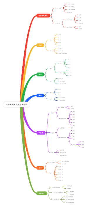 人体解剖学骨学思维导图