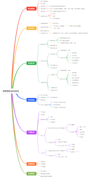 前期策划定位报告