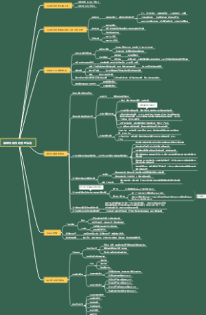 国际税收税务管理实务