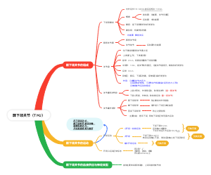 颞下颌关节（TMJ）