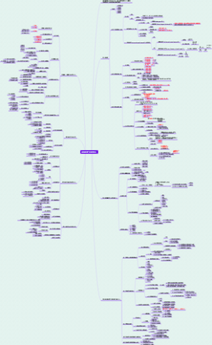 目视和仪表飞行程序设计