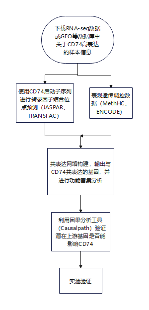 利用RNA-seq数据深入探究CD74的生物学功能流程