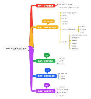 M4 ICH注册文档的组织