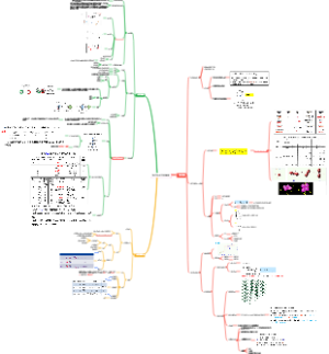 原子与分子的结构