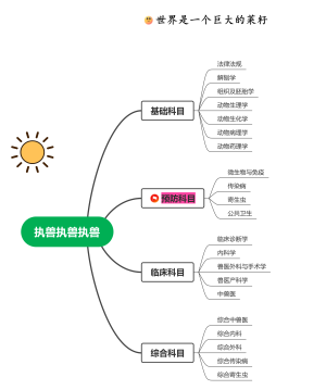 执业兽医