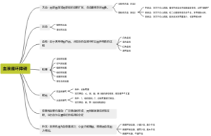动物病理学——血液循环障碍
