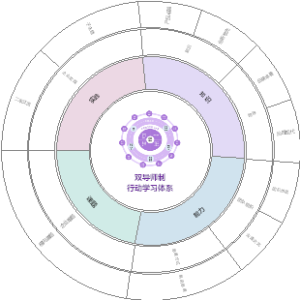 双导师行动学习体系
