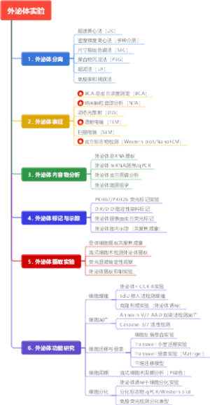 外泌体实验