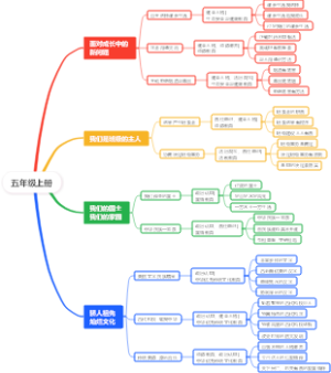 五年级上册道德与法治