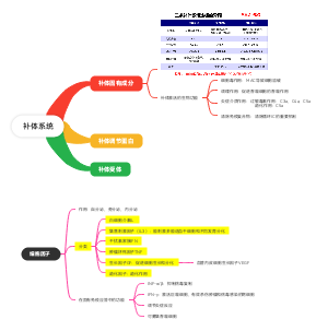 补体系统