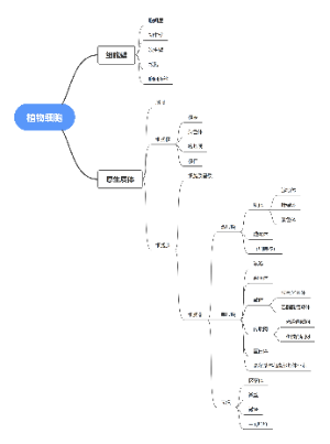 植物细胞思维导图