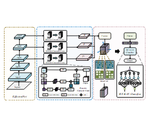 EfficientNet_小波卷积_KAN