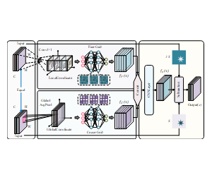 双分支卷积网络