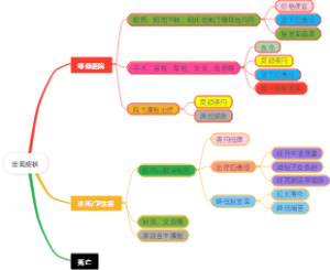  心脑血管治疗路径