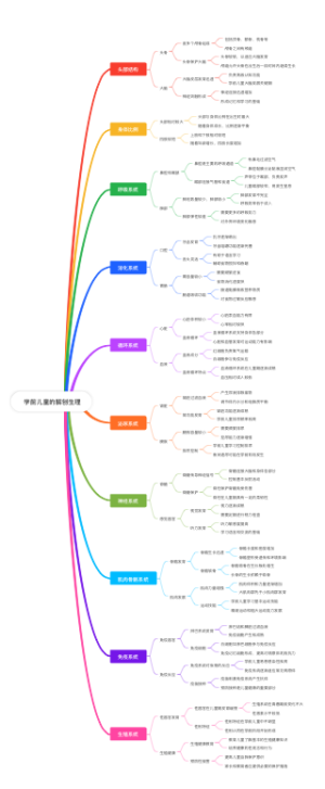 学前儿童的解刨生理