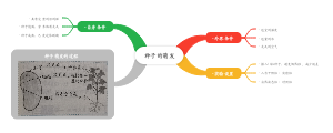 种子的萌发