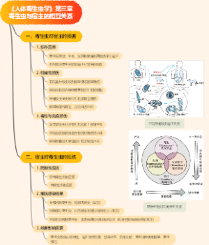 《人体寄生虫学》第三章寄生虫与宿主的相互关系