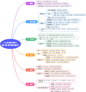 《人体寄生虫学》第八章 医学原虫概论